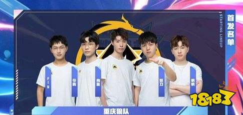 可以看到一